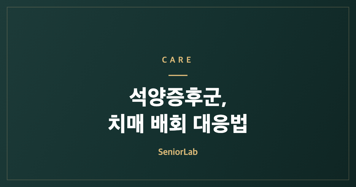 석양증후군과 치매 배회 대응을 안내하는 SeniorLab 카드 이미지